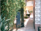 Leaving the Courtyard